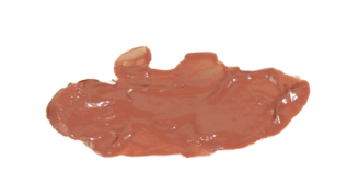 Labial Super Cremoso