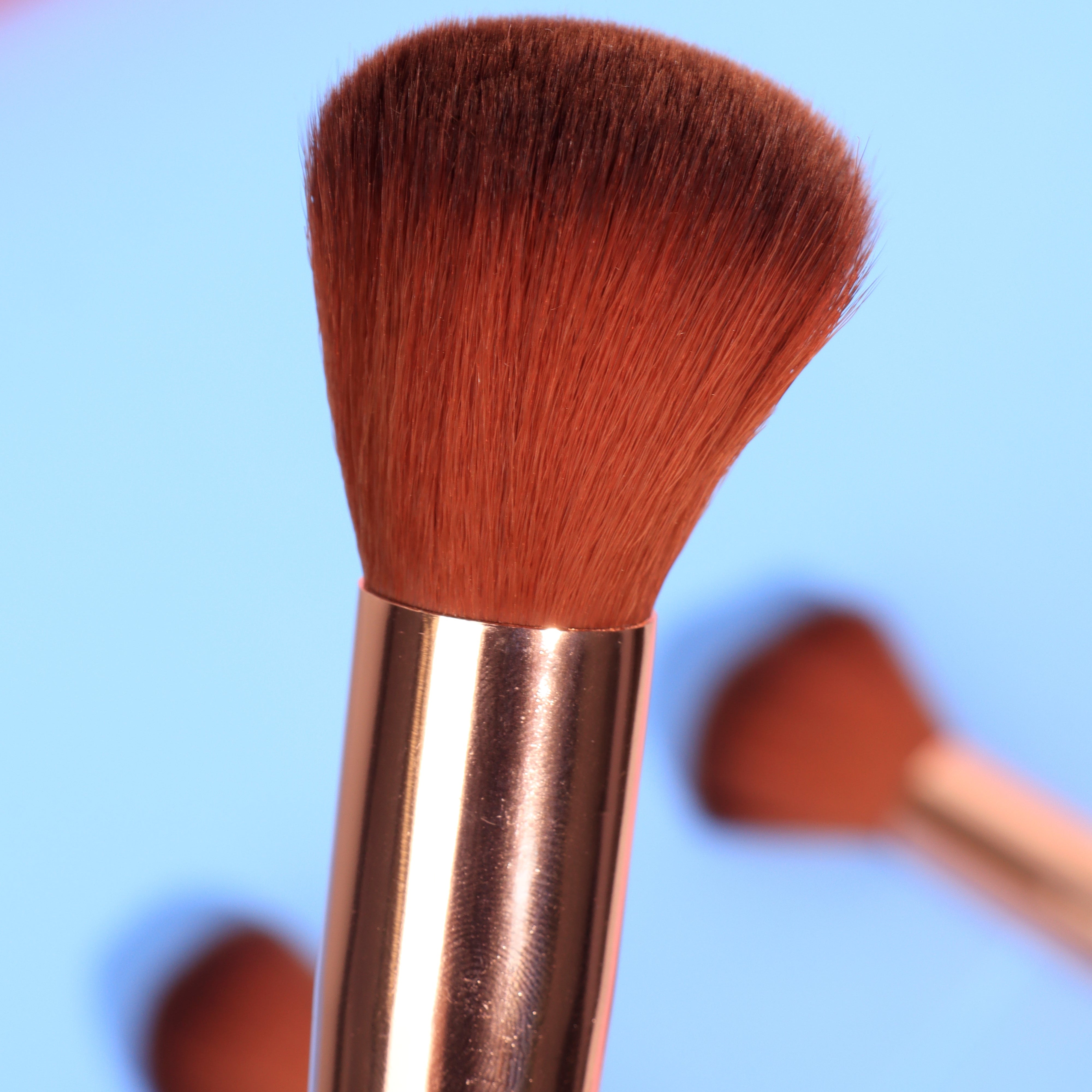 Brocha Rubor (empaque dorado y negro)