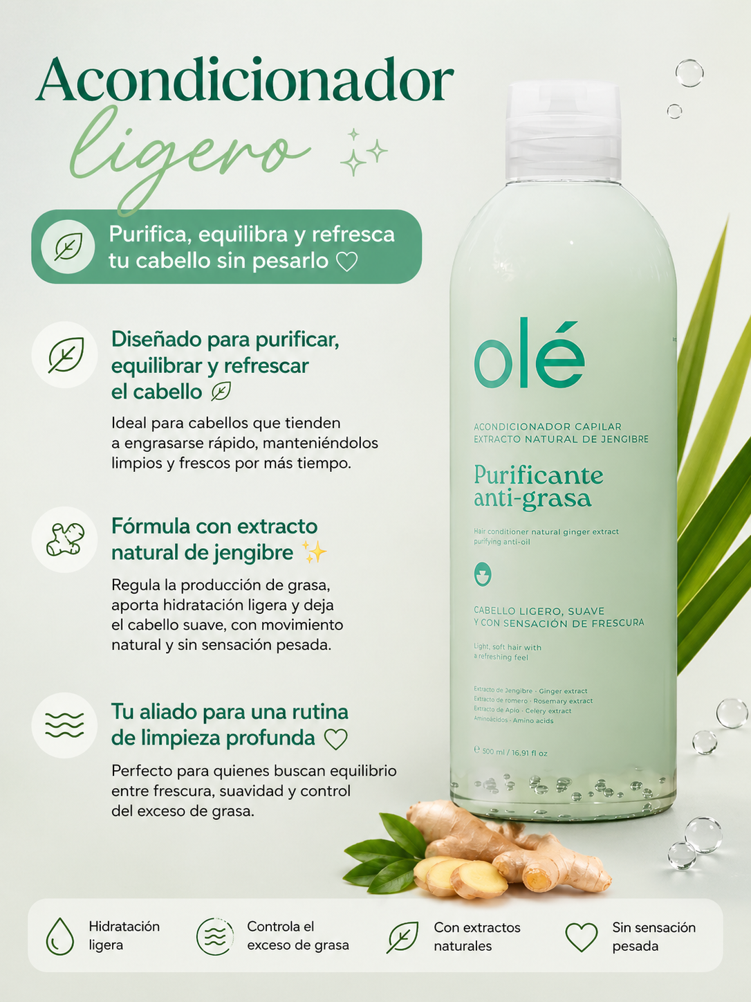 Acondicionador Purificante Anti-Grasa (jengibre) OLE *500ML*