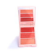 Paleta De Rubor X3 Handaiyan (cajita rosada)