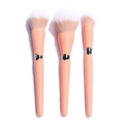 Set De Brochas x3