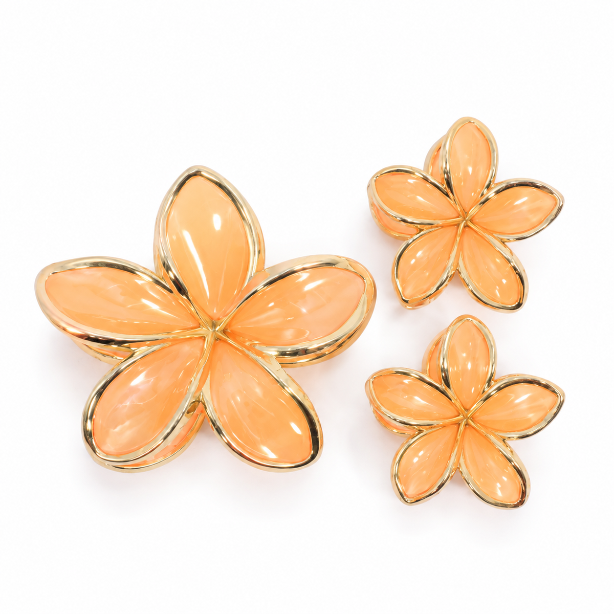 SET DE PINZAS X3 FLOR AURORA